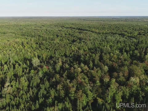 Wooded Hunting Land