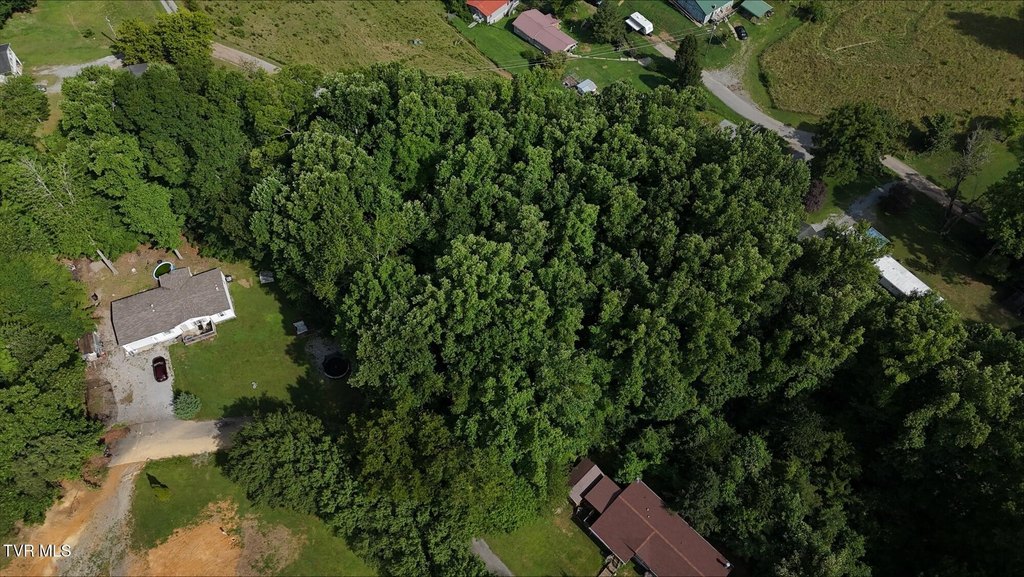 Picture 37