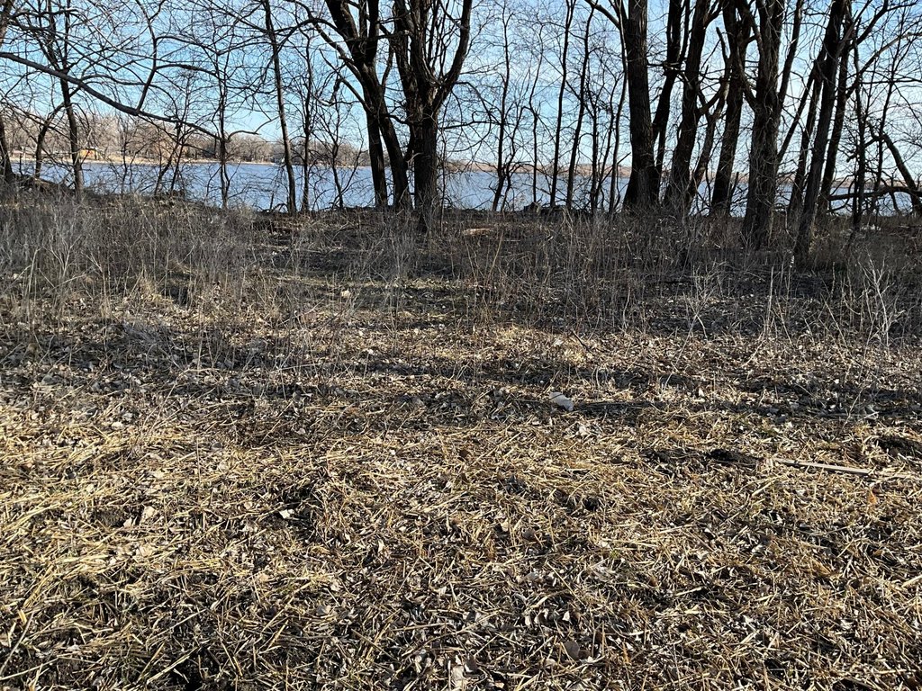Picture 27