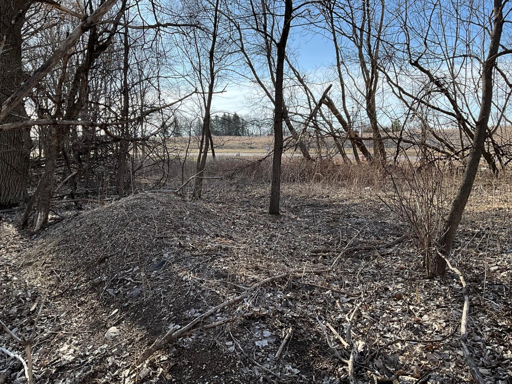 Picture 30