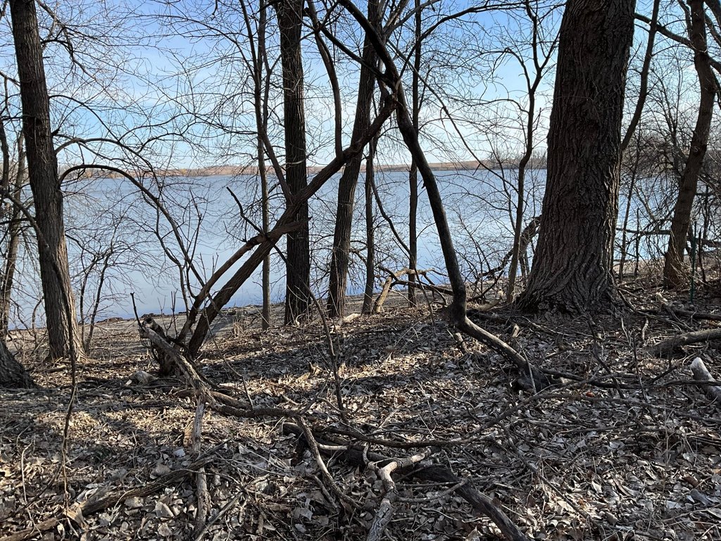 Picture 29