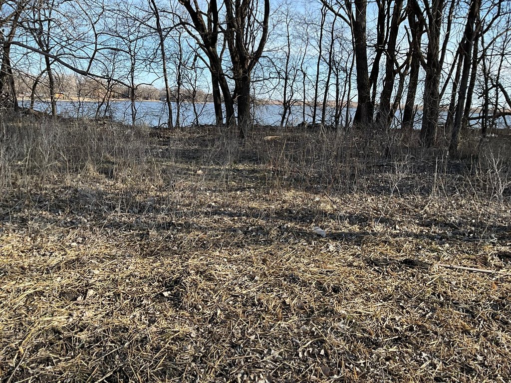 Picture 22