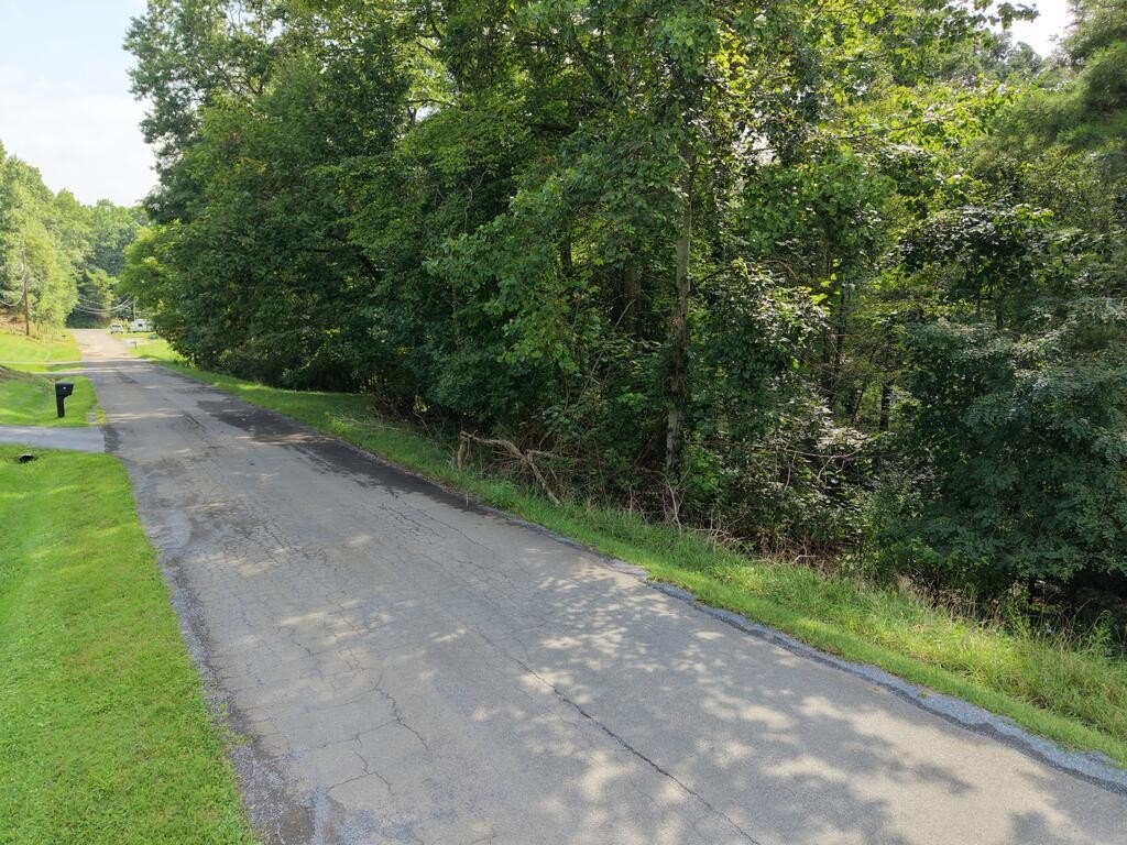 Picture 2