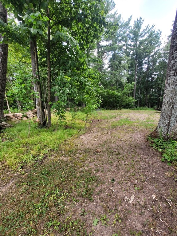 Picture 21