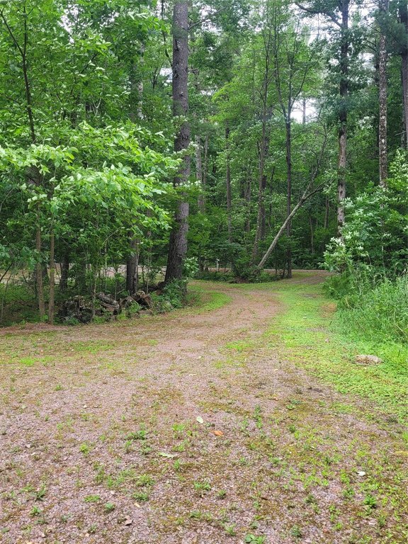 Picture 19