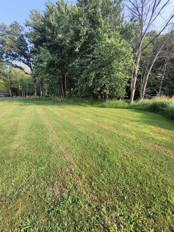Picture 17