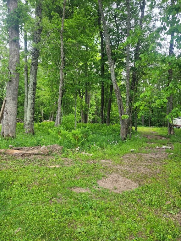 Picture 14