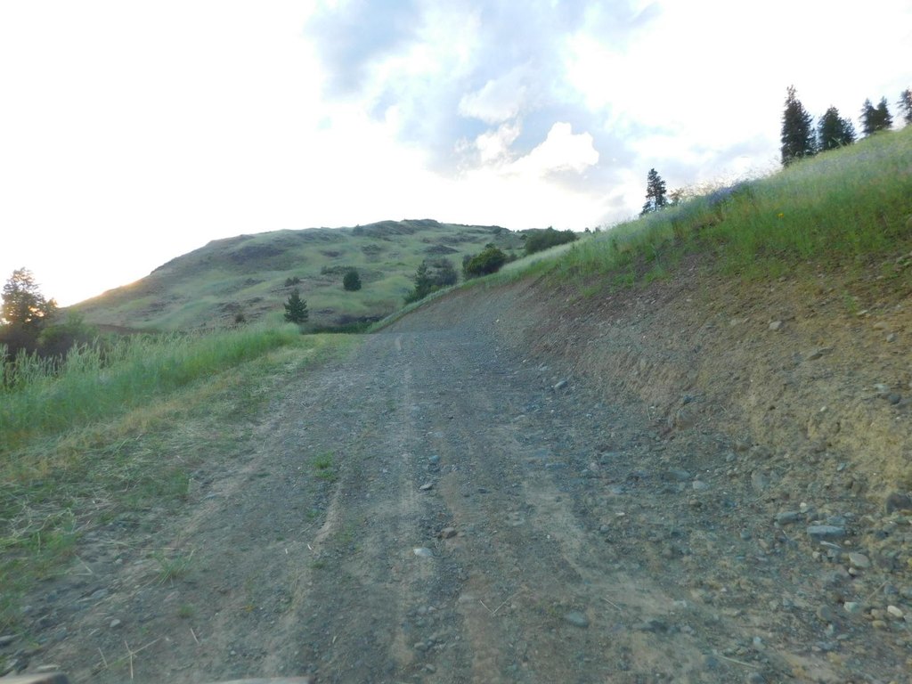 Picture 23