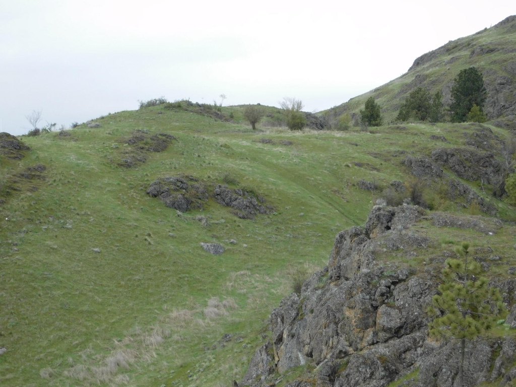 Picture 20