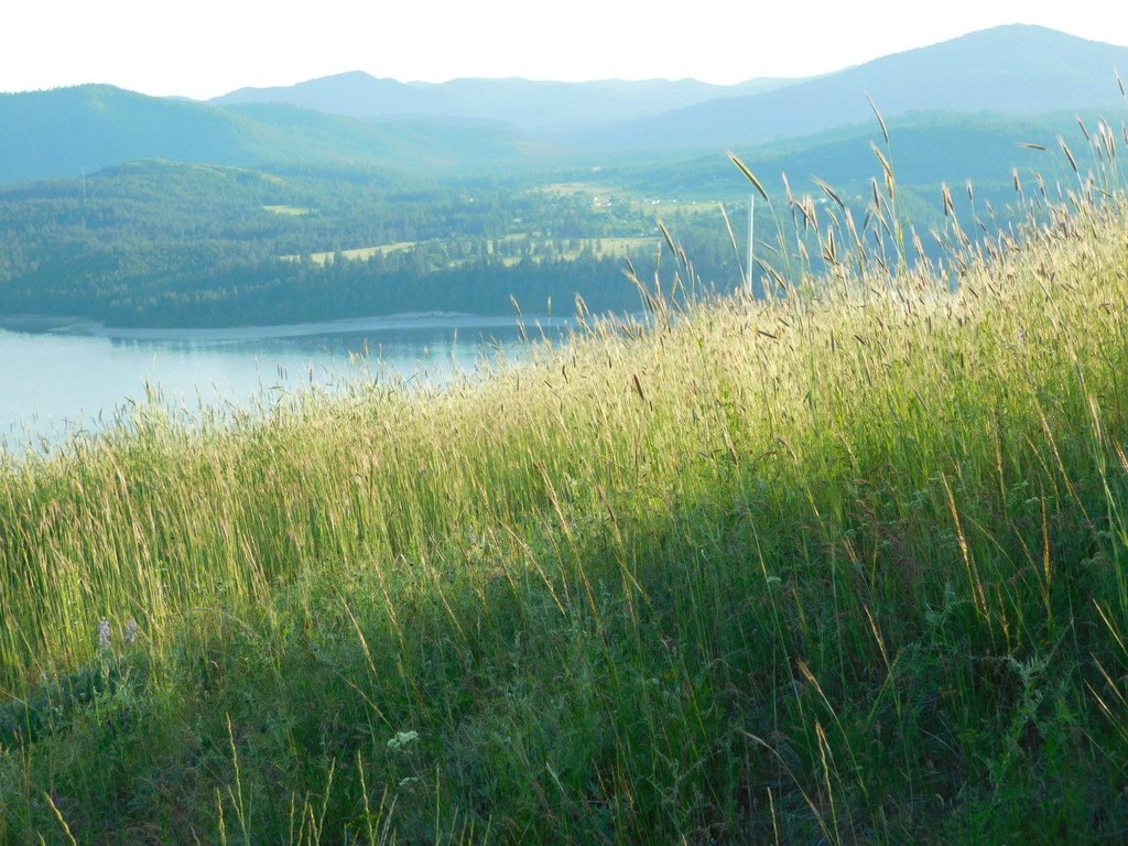 Picture 10