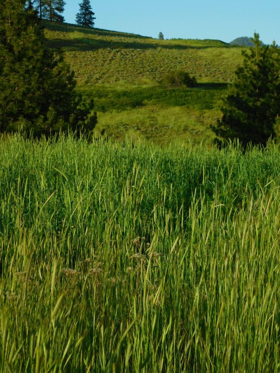 Picture 9