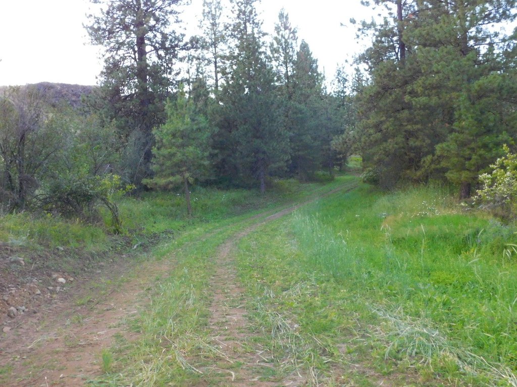 Picture 26