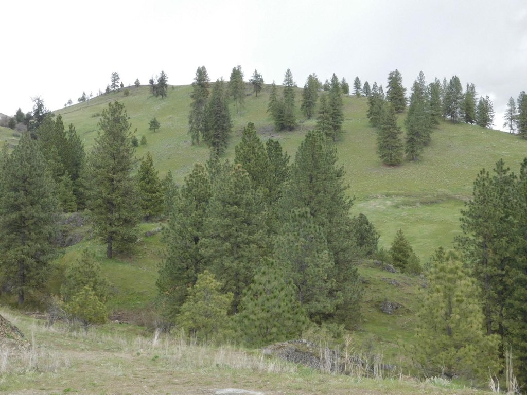 Picture 21