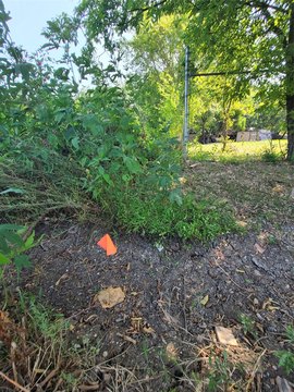 Dallas Land Lots Package Deal