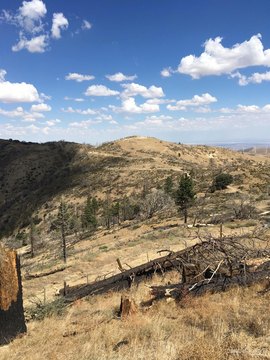 Tehachapi Land with Scenic Views
