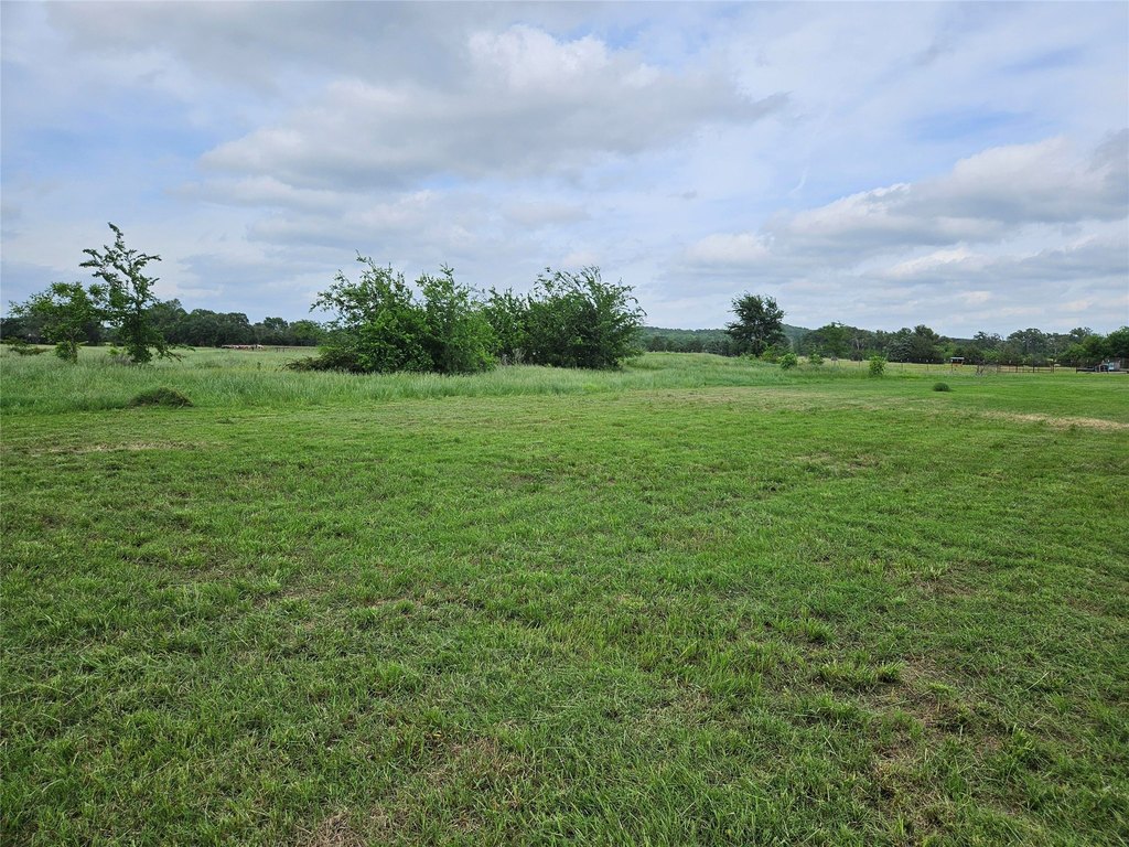 Picture 18