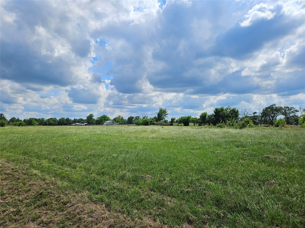 Picture 22