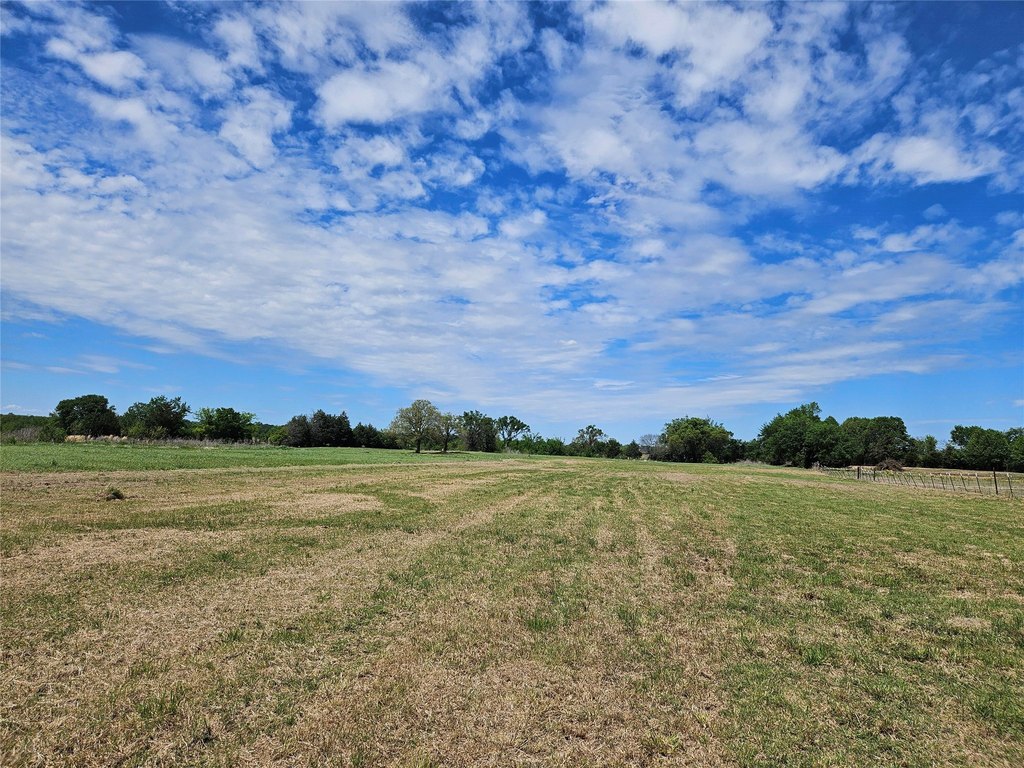 Picture 10