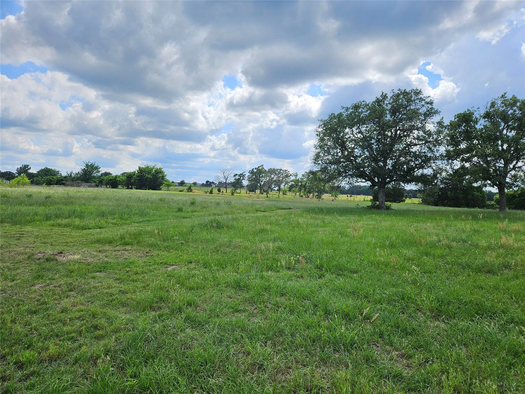 Picture 21