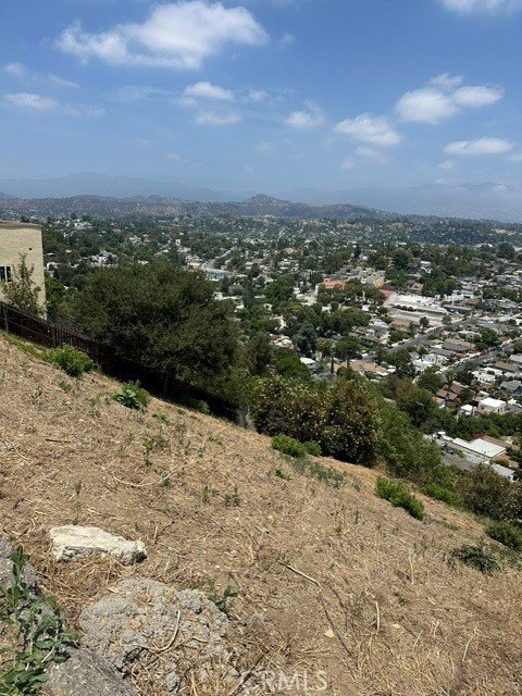 Picture 7