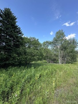 Vacant Land in Iron River