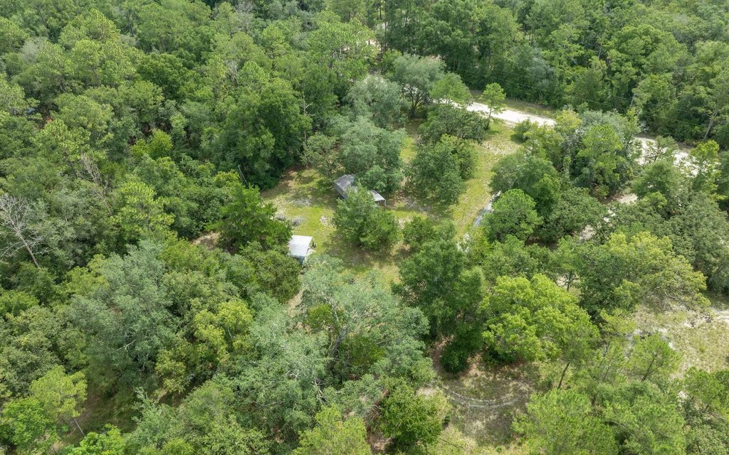 Picture 8