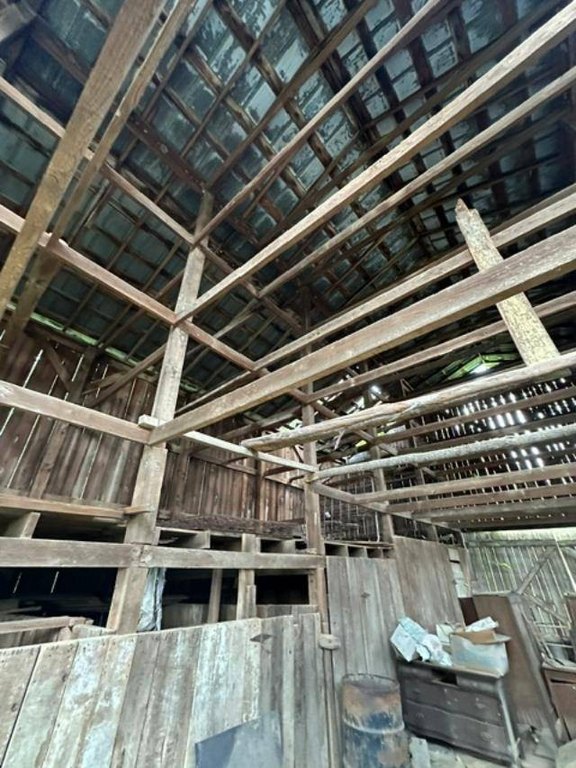 Picture 15