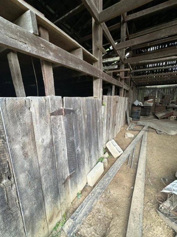 Picture 16