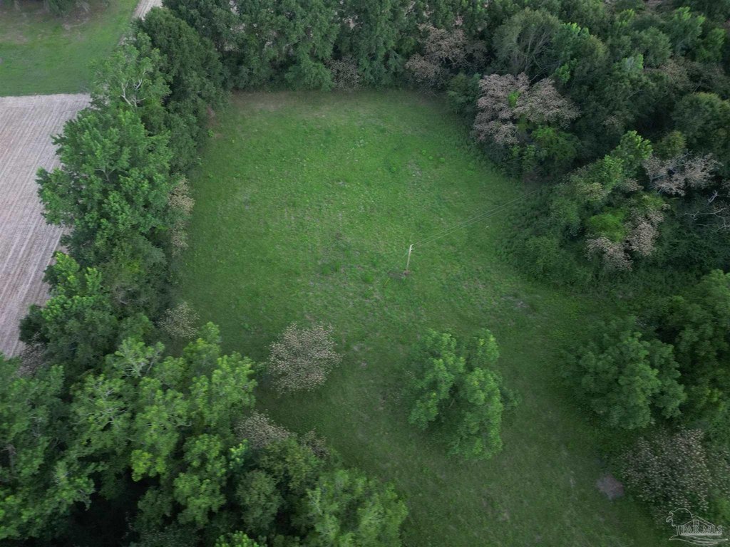 Picture 13