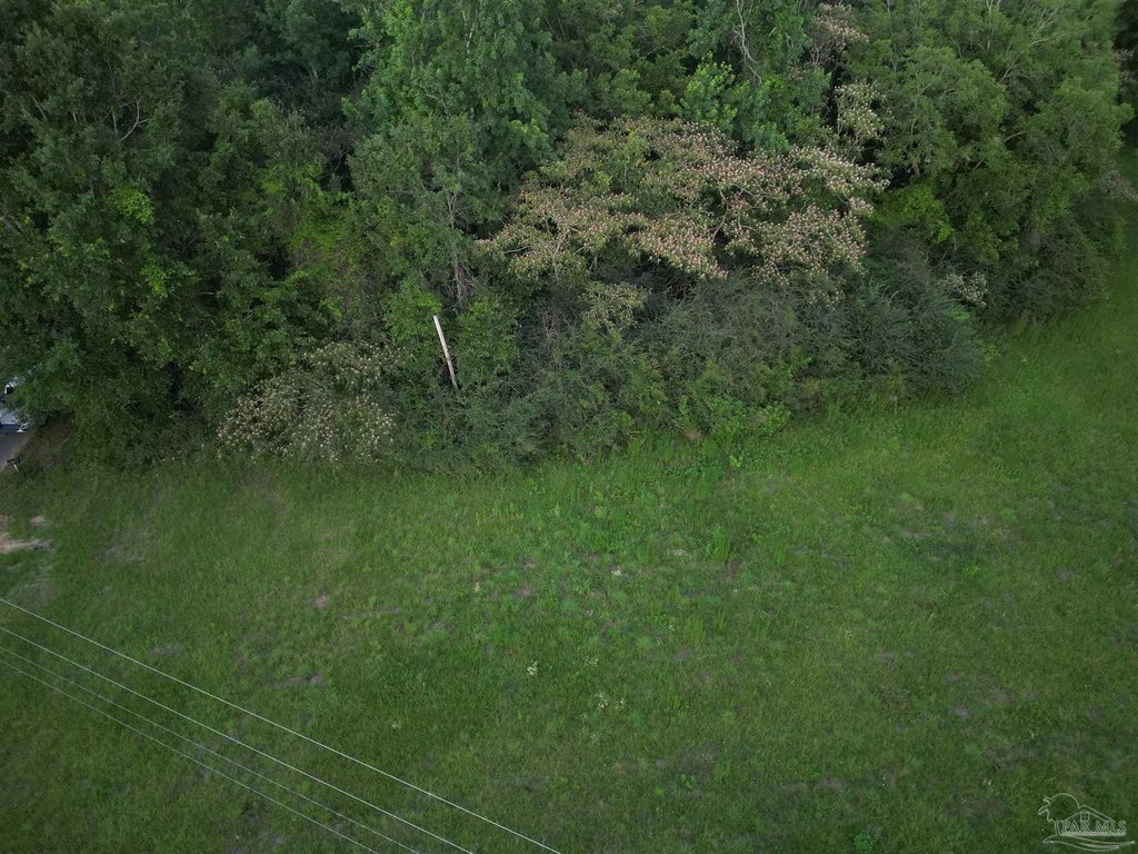 Picture 12