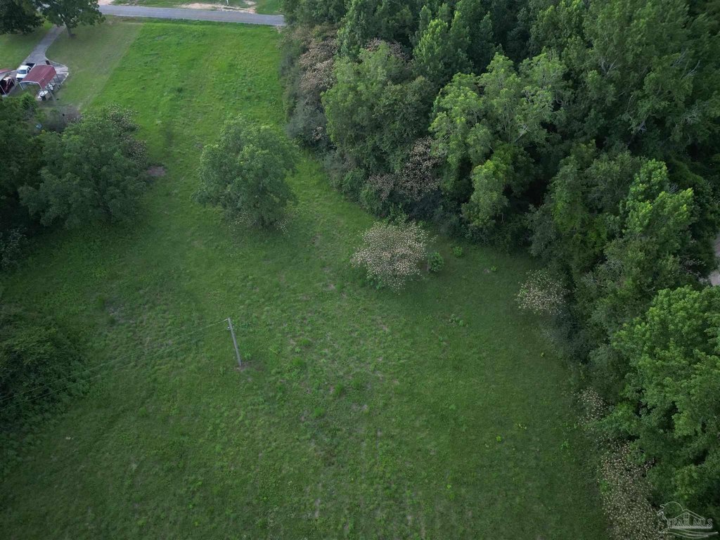 Picture 9