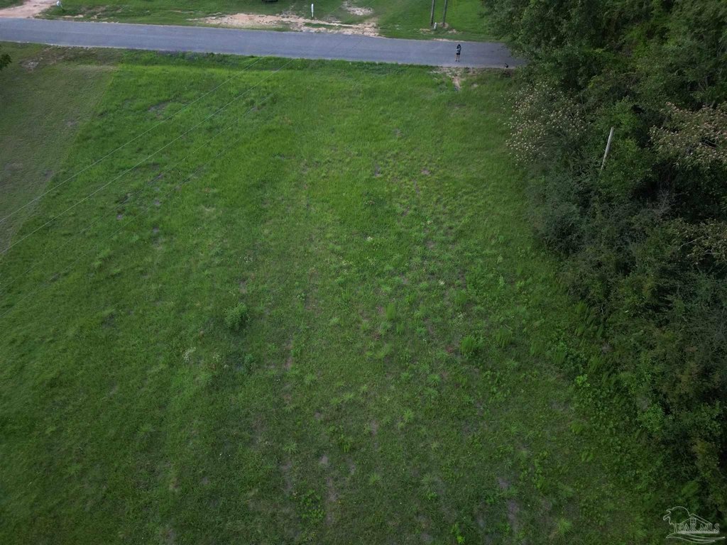 Picture 10