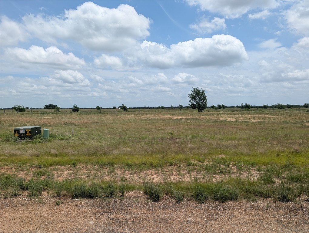 Picture 6