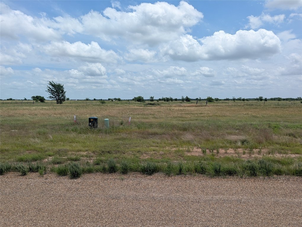 Picture 3