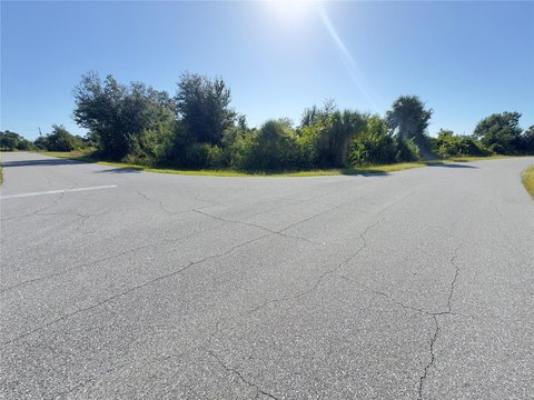 Oversized Corner Home Lot