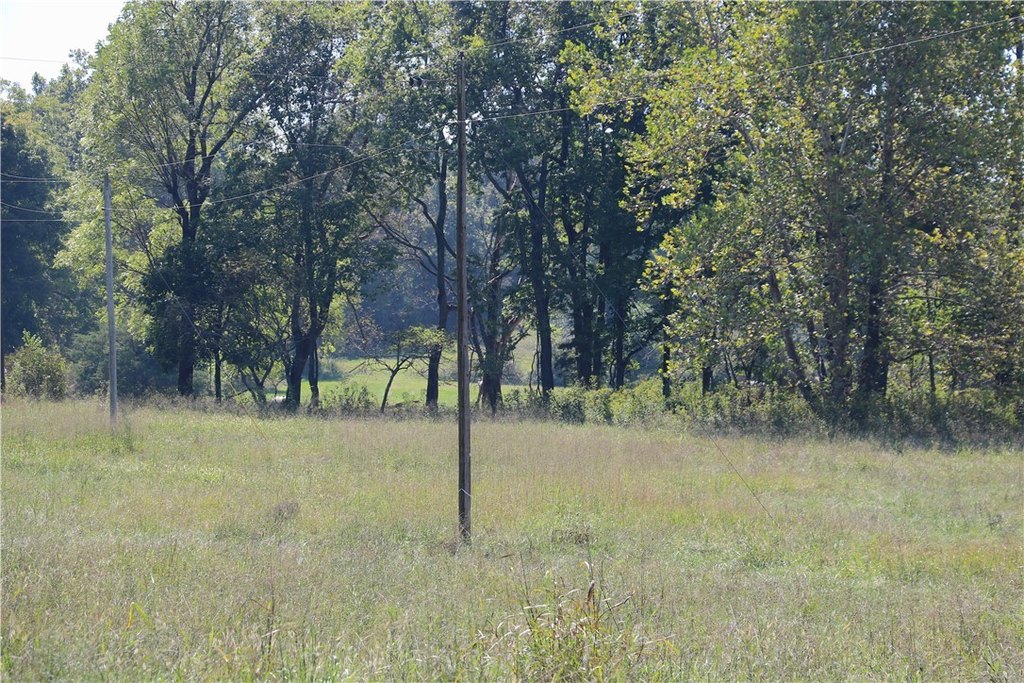 Picture 28