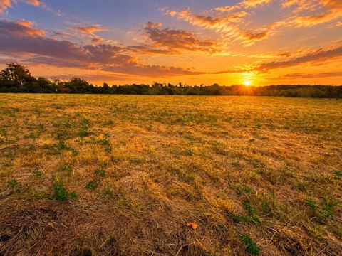 Land, Eagle Rock, MO