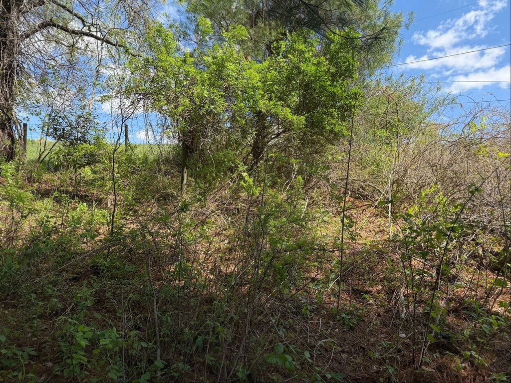Picture 12