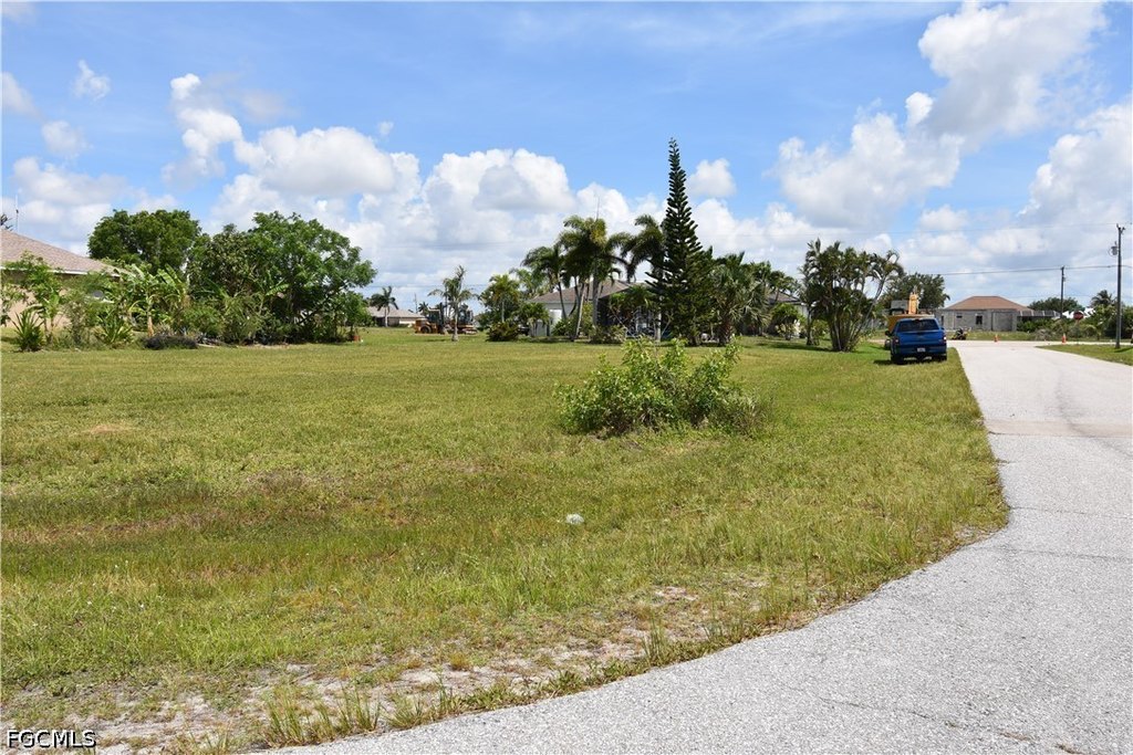 Picture 6