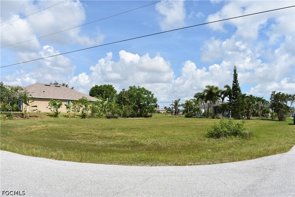 Picture 20