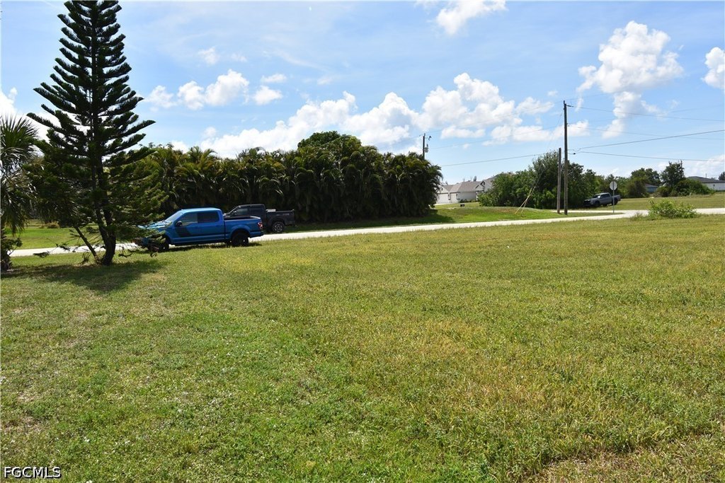 Picture 8