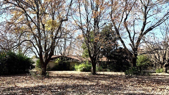 Picture 18