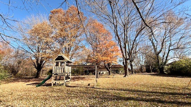 Picture 13