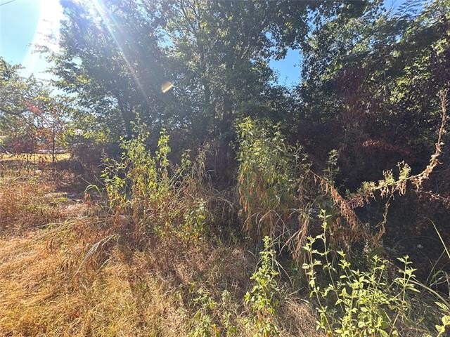 Picture 2
