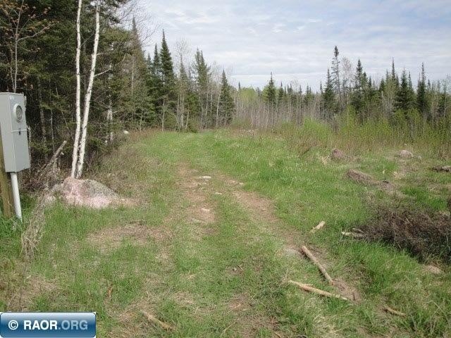 Picture 3