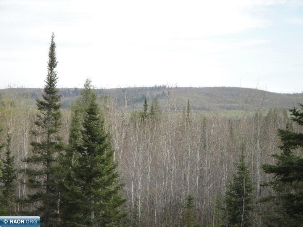 Picture 25