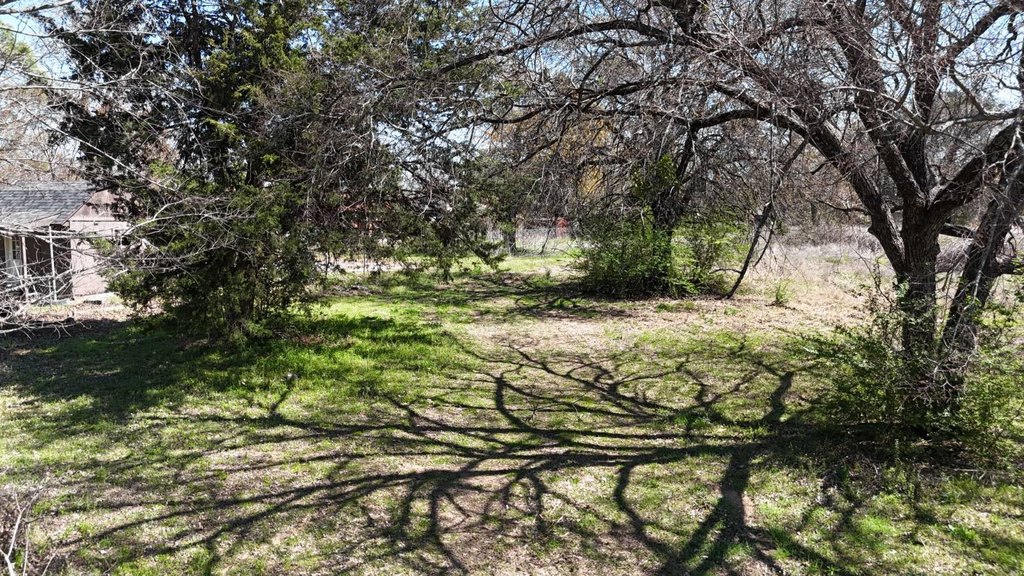 Picture 8