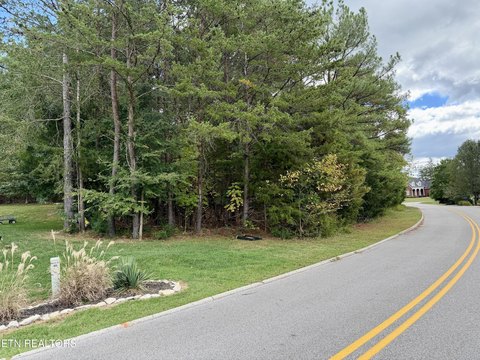 Lots & Acreage, Kingston, TN