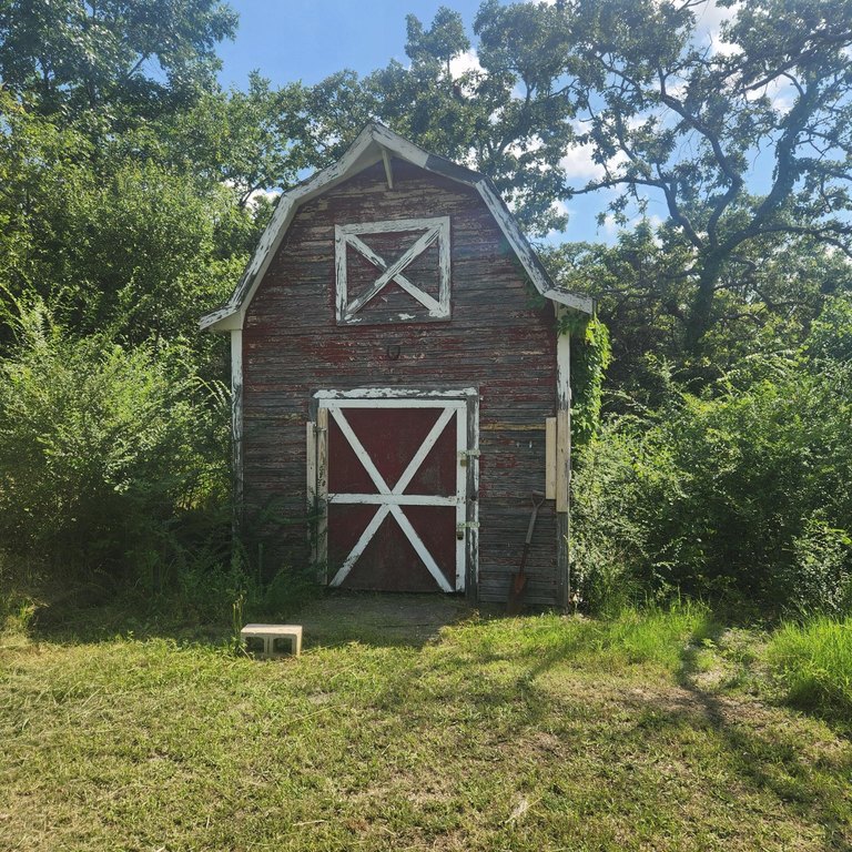 Picture 5