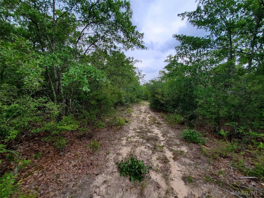 Picture 27